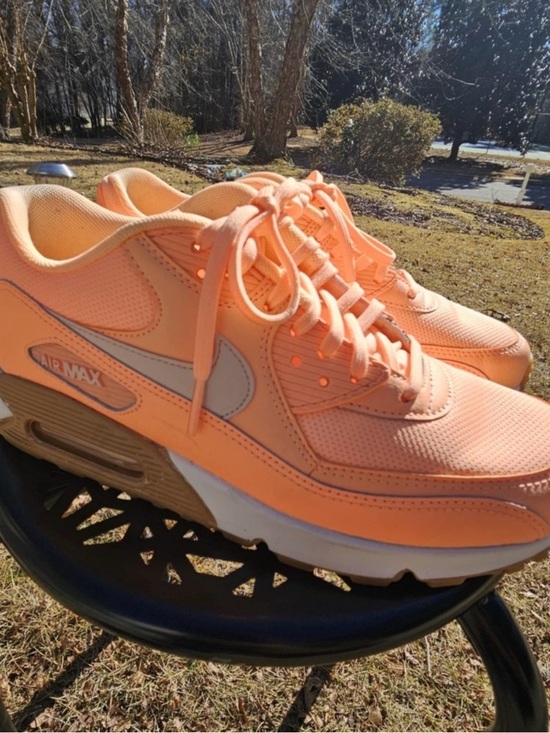 Nike Shoes - Nike Air Max 90 Sunset Glow